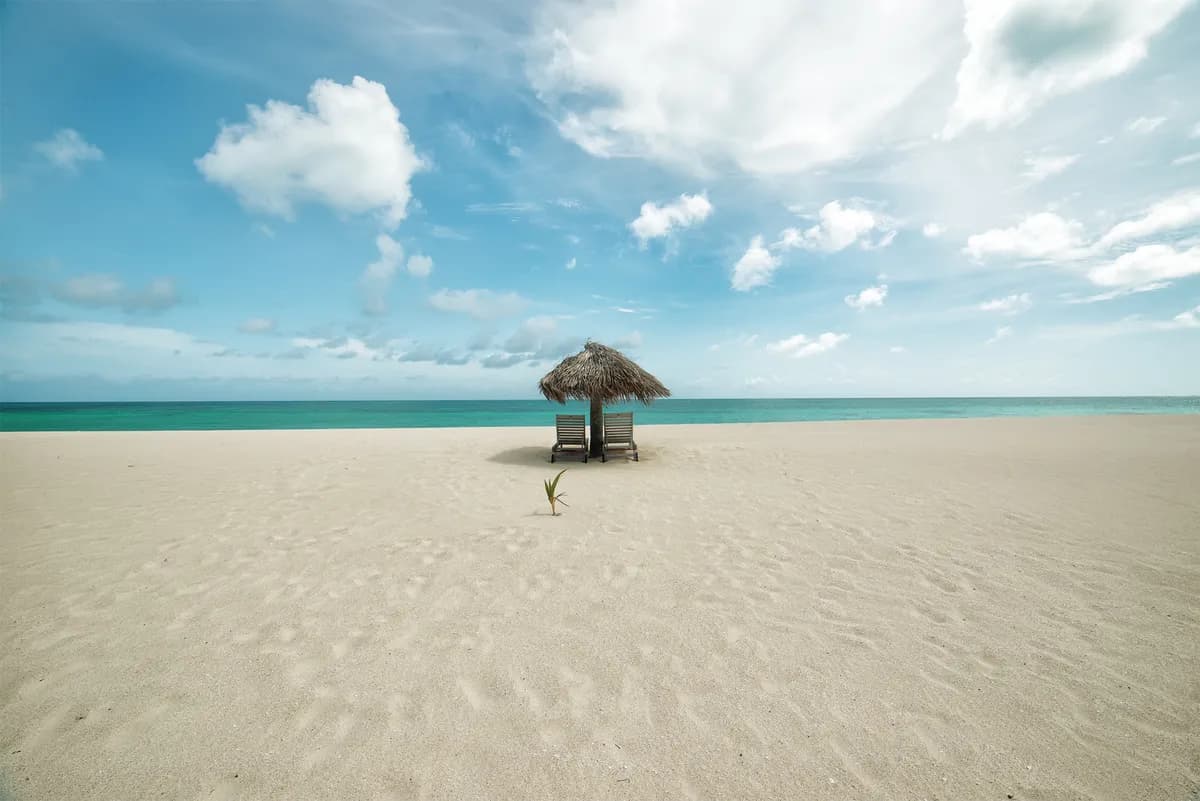 Pink Sand Beach (17 Mile Beach)