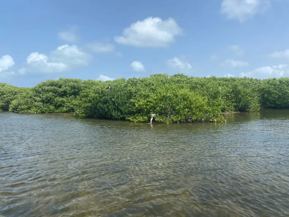 Codrington Lagoon National Park